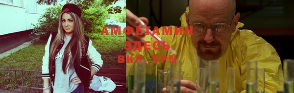 шишки Арсеньев