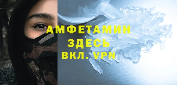 шишки Арсеньев