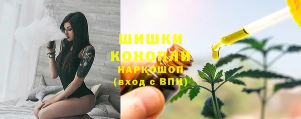 шишки Арсеньев