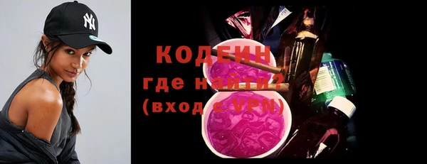 шишки Арсеньев