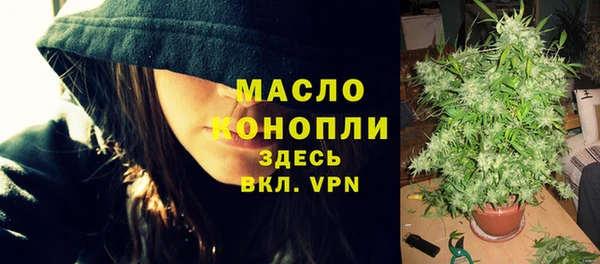шишки Арсеньев