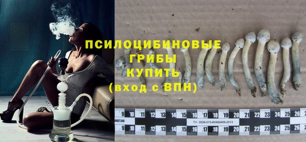 шишки Арсеньев