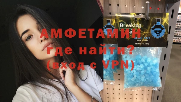 шишки Арсеньев